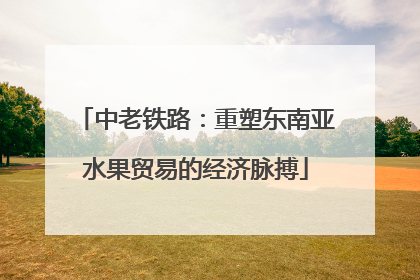 中老铁路：重塑东南亚水果贸易的经济脉搏